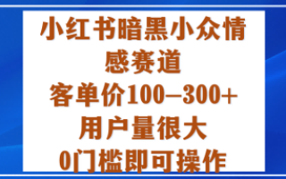 小红书暗黑小众情感赛道，客单价100-300+用户量很大，0门槛即可操作