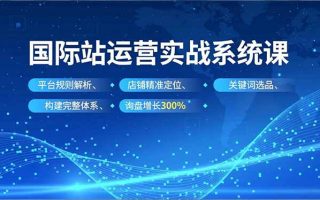 国际站运营实战系统课，平台规则解析、店铺精准定位、关键词选品，构建完整体系询盘增长300%