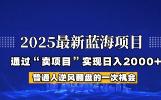 2025年蓝海项目，如何通过“网创项目”日入2000+