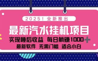 2025最新汽水音乐挂机项目 每天几分钟 轻松上w