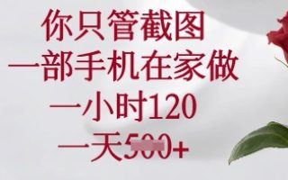 你只管截图，一部手机在家做，一小时120.一天5张【揭秘】