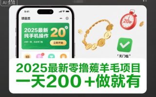 2025最新零撸薅羊毛项目，纯手机操作，20秒一单，无任何门槛，一天200+做就有【揭秘】