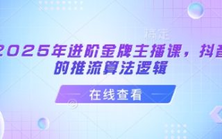 2025年进阶金牌主播课，抖音的推流算法逻辑