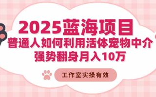 2025蓝海项目：普通人如何利用活体宠物中介，强势翻身月入10万