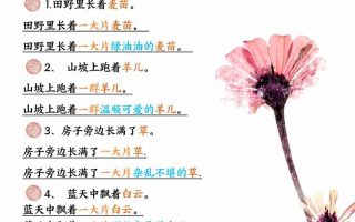 二年级下语文仿写句子