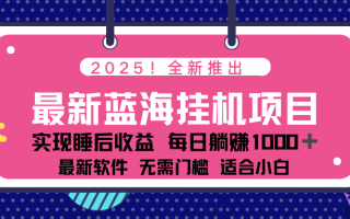 2025最新挂机躺赚项目 一台电脑轻松日入500