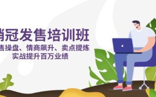 销冠 发售培训班：发售 操盘+情商 飙升+卖点 提炼，实战提升百万业绩