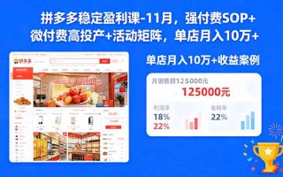 拼多多稳定盈利课-11月，强付费SOP+微付费高投产+活动矩阵，单店月入10w+