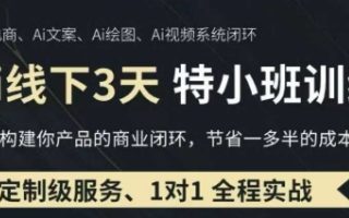AI实操培训第20-21期线下，0基础保姆级教程，3月最新整理，企业获客、降本增效、打造超级个体
