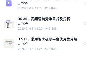 价值9800元-2025最新搜索引擎排名SEO培训课程 含各种引流推广网站优化视频教程
