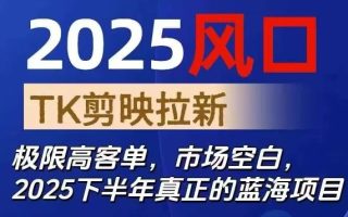 2025风口TK剪映capcut拉新项目，极限高客单，市场空白，2025下半年真正的蓝海项目