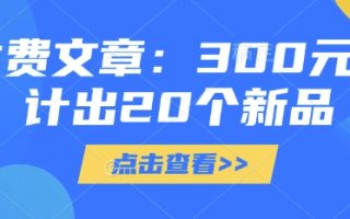 付费文章：300元设计出20个新品