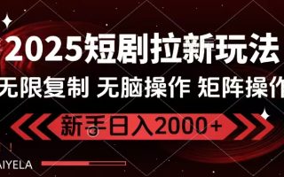 2025短剧拉新玩法，无需注册登录，无限0撸，无脑批量操作日入2000+