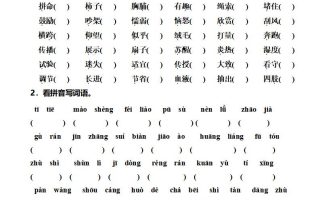 三上语文-期末总复习练习