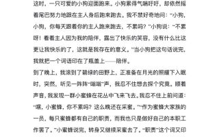 六上语文1-8单元习作精美范文