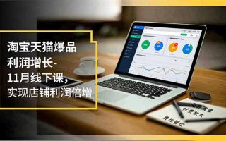 淘宝天猫爆品利润增长-11月线下课，免费流量、付费放大、费比管控，实现店铺利润倍增