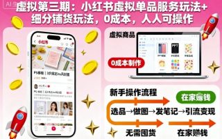 虚拟第三期：小红书虚拟单品服务玩法+细分铺货玩法，0成本，人人可操作