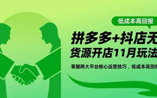 拼多多+抖店无货源开店11月玩法：掌握两大平台核心运营技巧，低成本高回报