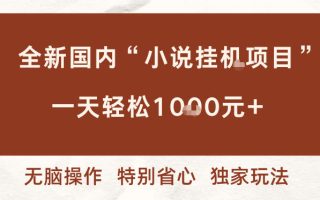全新国内小说挂G项目，多窗口无脑跑，一天轻松1k+，特别省心【揭秘】