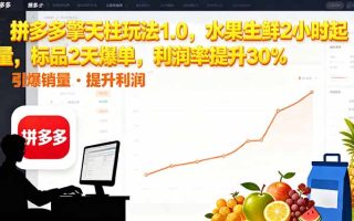 拼多多 擎天柱玩法1.0，水果生鲜2小时起量，标品2天爆单，利润率提升30%