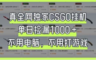 真全网独家CSGO挂机，单日捡漏1000+，不用电脑，不用养号
