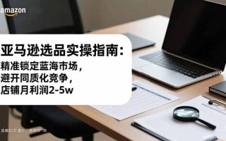 亚马逊选品实操指南：精准锁定蓝海市场，避开同质化竞争，店铺月利润2-5w