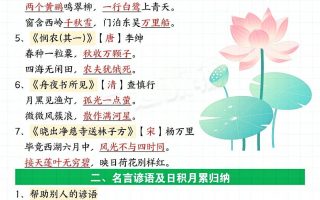 二下语文期末复习全册必考知识点汇总（八大高频考点归纳）20页