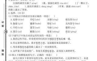 六上语文第八单元素养培优卷（含答案）