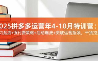 2025拼多多运营年4-10月特训营：暴力起店+强付费策略+活动爆流+突破运营瓶颈，干货拉满