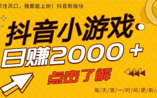 2025年爆火的抖音小游戏项目，一部手机日入2000+