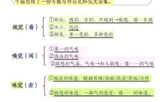 三上语文-作文万能公式五感法
