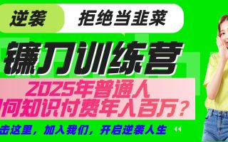 镰刀训练营超级IP合伙人，25年普通人如何通过“知识付费”实现逆袭