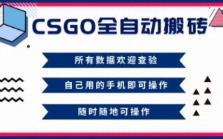 CSGO全自动搬砖，年底钱回家好项目，当天可拿到结果，新手小白轻松月入1W+【揭秘】