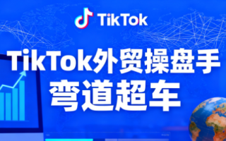 TikTok外贸操盘手(更新11月)