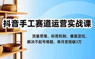 抖音手工赛道运营实战课，流量思维、标签机制、垂直定位，解决不起号难题，单月变现破3万