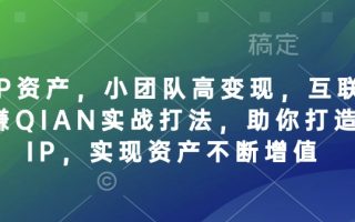 个人IP资产，小团队高变现，互联网全链路赚QIAN实战打法，助你打造个人IP，实现资产不断增值