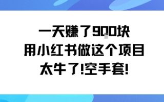 一天挣了9张用小红书做这个项目太牛了，空手套