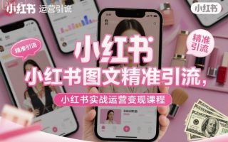 小红书图文精准引流，小红书实战运营变现课程