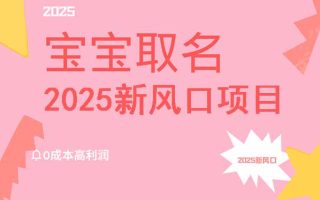 2025新风口项目宝宝取名，0成本高利润，附保姆级教程，月入过万不是梦