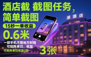 酒店截图任务，简单截图，15秒一单收益0.6米，一部手机不限地方时间，可矩阵单日收益3张【揭秘】