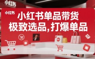 小红书单品带货，极致选品，打爆单品(更新)