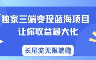独家三端变现蓝海项目，让你收益最大化，长尾流无限躺挣