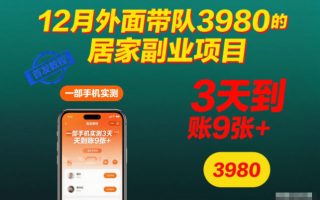 12月外面带队3980的居家副业项目，一部手机实测3天到账9张+，首发教程【揭秘】