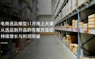 电商选品模型11月线上大课：从选品到开品的完整方法论 持续增长与利润突破
