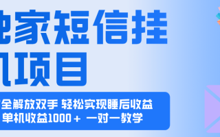 2025全新电脑挂机项目  操作简单，单机当天收益1000+，收益无上限，可…