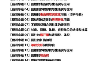 六下数学期中复习·终极压轴版（原卷版）苏教版24页