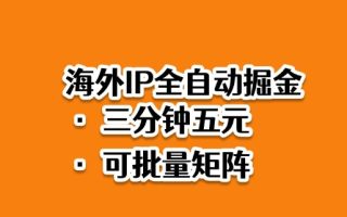 海外ip全自动掘金，2025必做蓝海项目，3分钟落地，矩阵直接开干【揭秘】