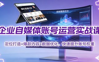 企业自媒体账号运营实战课：定位打造+ 爆款内容+数据优化，快速提升账号权重