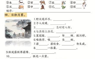 二年级下语文《期末冲刺》专项训练-