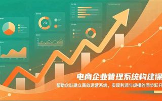 电商企业管理系统构建课：帮助企业建立高效运营系统，实现利润与规模的同步跃升